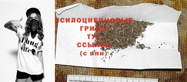 молекула духа Аркадак
